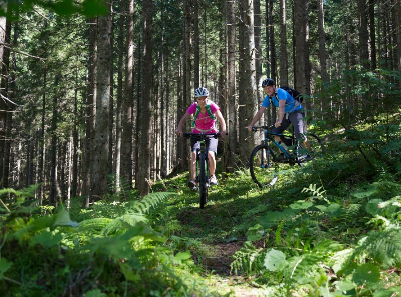Gorsko kolo je namenjeno za kolesarje, ki vozijo po grobem terenu.